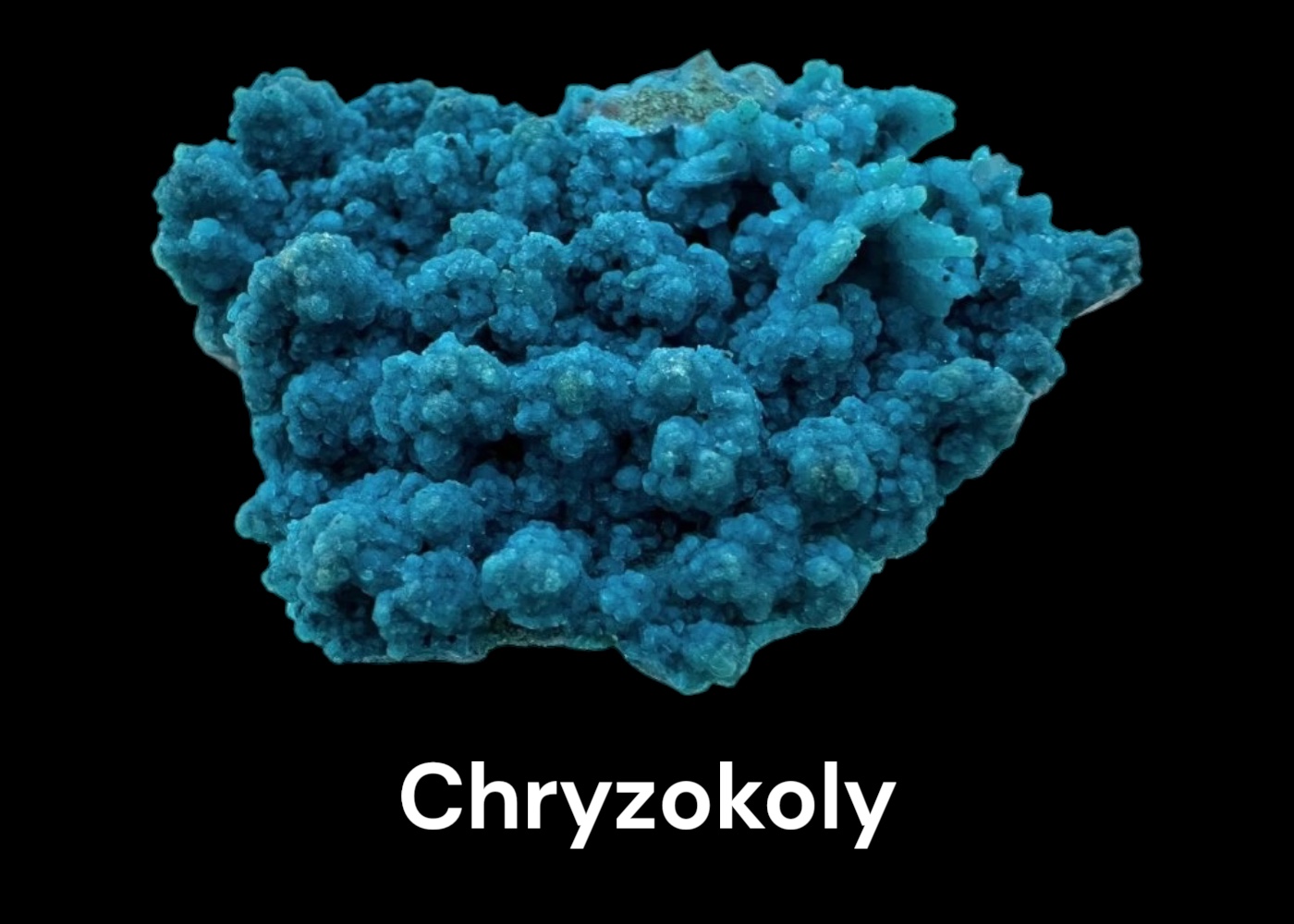 Chryzokoly